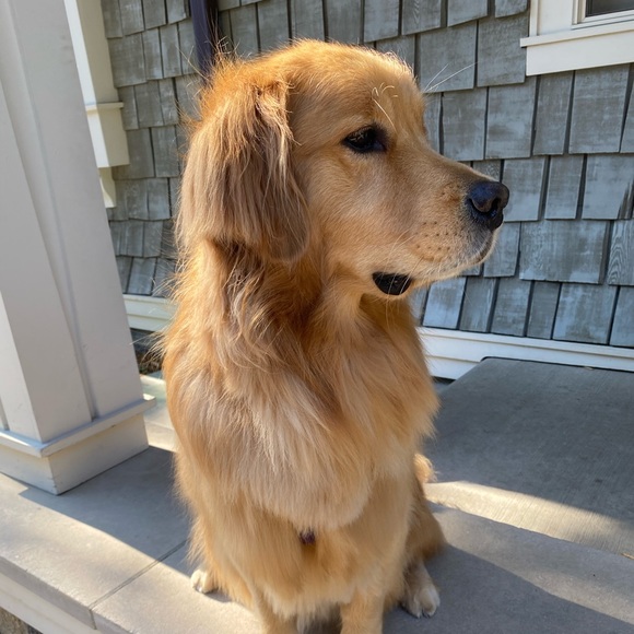 Meet your Posher, Monica - Picture 1 of 1